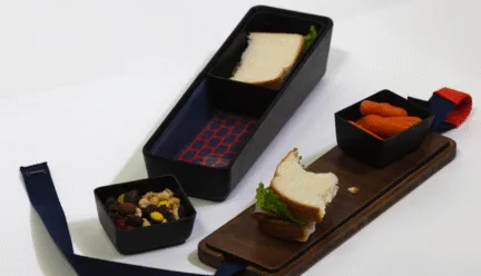lunchbox design  with food